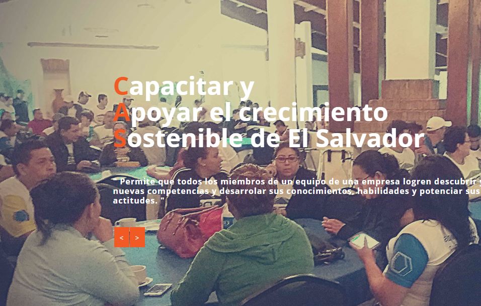 Esmahan Consulting